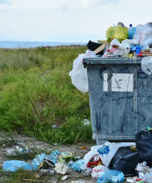 Progetto senza titolo (56)